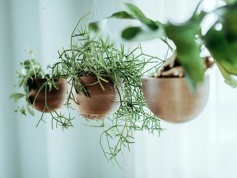 Water Catch-Integrated Planters