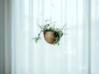 Water Catch-Integrated Planters Image 2