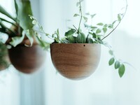 Water Catch-Integrated Planters Image 3