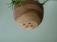 Water Catch-Integrated Planters Image 4
