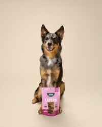 Two-Layered Dog Treats Image 1
