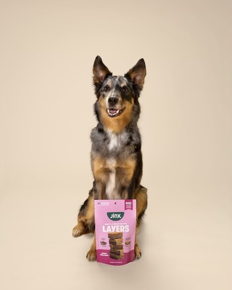 Two-Layered Dog Treats