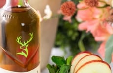 Summer-Ready Elevated Cocktail Experiences