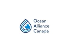 Inclusive Ocean Initiatives