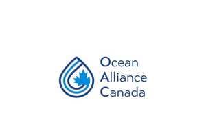 Inclusive Ocean Initiatives Article Thubnail