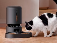 AI-Powered Pet Feeders Image 1