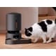 AI-Powered Pet Feeders Image 1