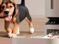 AI-Powered Pet Feeders Image 2