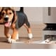 AI-Powered Pet Feeders Image 2
