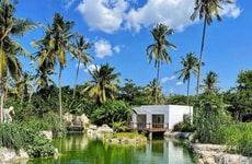 Carbon-Neutral East African Hotels