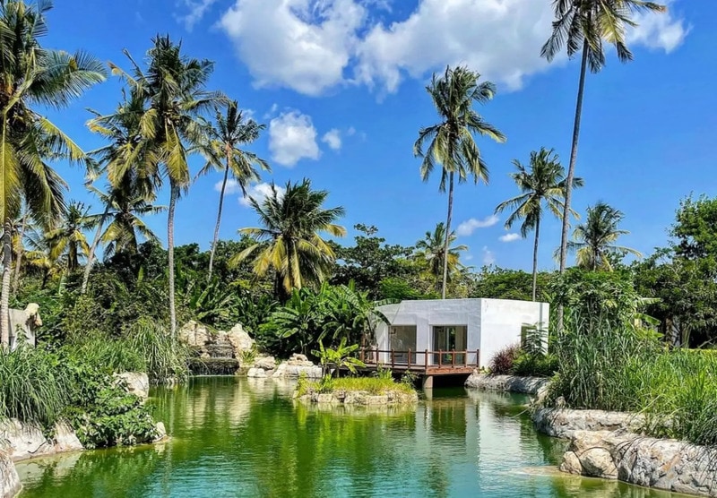 Carbon-Neutral East African Hotels Article Thubnail