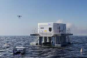 Marine Conservation Initiatives Article Thubnail