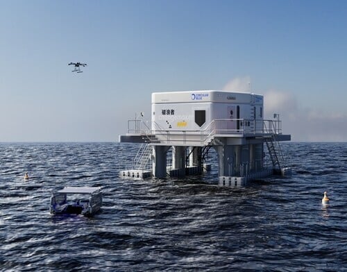 Marine Conservation Initiatives Article Thubnail
