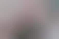 Brick-And-Mortar Streetwear Stores