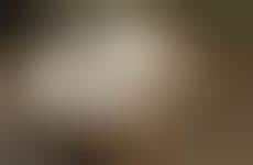 Modern Multi-Generational Family Residences