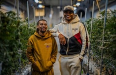 Democratizing Cannabis Production-Focused Programs