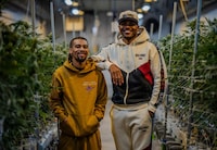 Democratizing Cannabis Production-Focused Programs