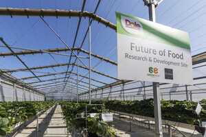 Pollination Insight Enhancement Projects Article Thubnail