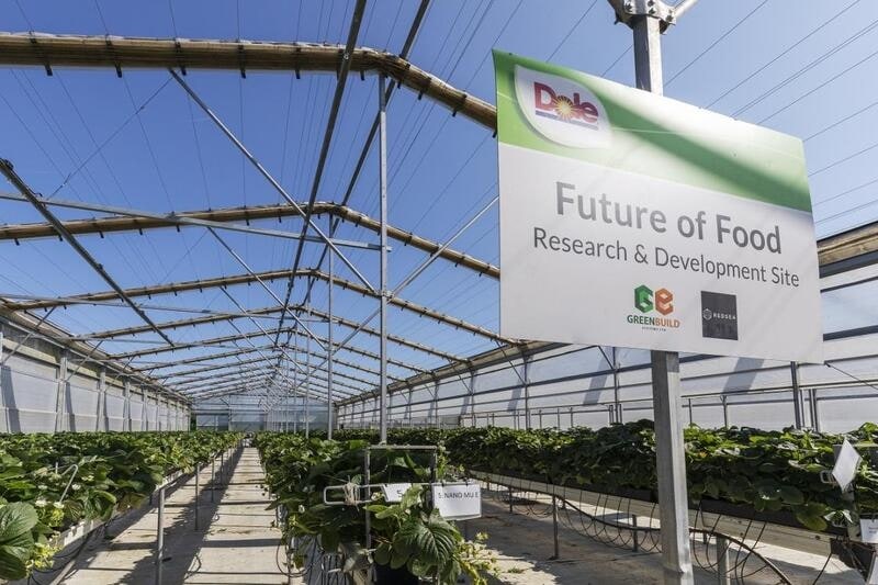 Pollination Insight Enhancement Projects Article Thubnail