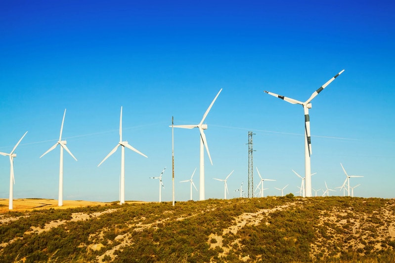 Wooden Wind Turbine Blades Article Thubnail