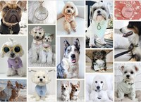 Customizable Pet-Inspired Accessories Image 3