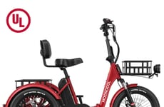 Electric Trike Designs