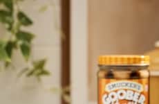 Honey-Packed Peanut Butters