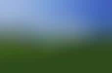 Accessible Nature-Oriented Public Spaces