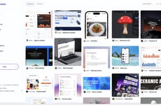 Creative Career Networks