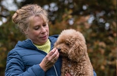 Human-Grade Protein Balls