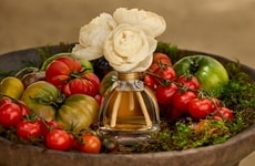 Tomato Home Fragrance Collections