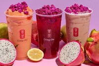 Seasonal Fruit Beverage Lines Image 1