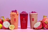 Seasonal Fruit Beverage Lines Image 2
