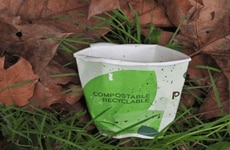 Fully Compostable Paper Cups Article Thumbnail