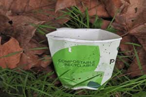 Fully Compostable Paper Cups Article Thubnail