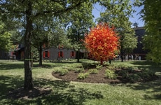 Contemporary Glass Art Experiences