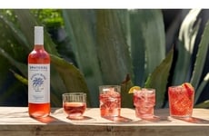 Light Effervescent Wines