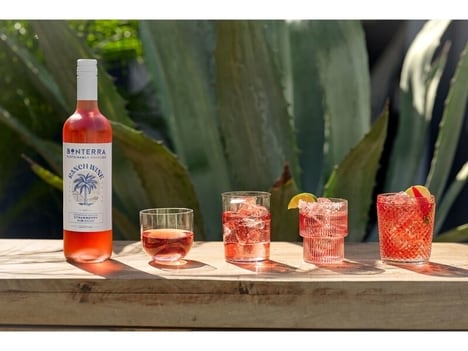 Light Effervescent Wines