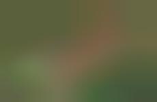 Carefree Gen-Z-Targeted Campaigns