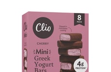 Snackable Greek Yogurt Bars