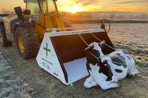 Down Cow Movement Solutions Article Thubnail