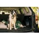 Travel-Friendly Dog Essentials Image 2