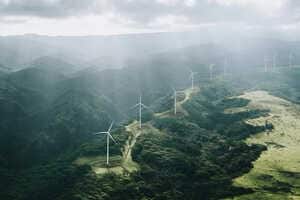 Renewable Energy Company Rebrands Article Thubnail