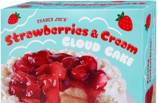 Airy Frozen Summertime Cakes