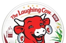 Spreadable Spicy Cheese Wedges