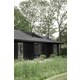 Black-Timber Overhanging Roof Buildings Image 3