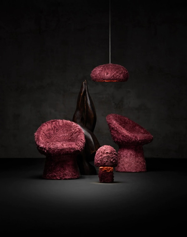 Furry Mycelium Sustainable Chairs