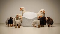 Furry Mycelium Sustainable Chairs Image 2