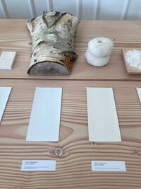 White-Tonal Paint Collections Image 2