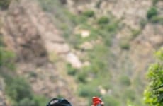 Summertime Skincare Campaigns